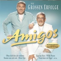 Amigos Die Grossen Erfolge