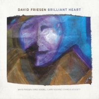 Friesen, David Brilliant Heart