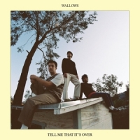 Wallows Tell Me That It's Over -coloured-