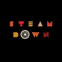 Steam Down Five Fruit