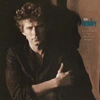 Don Henley Building The Perfect Beast