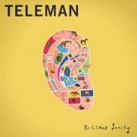 Teleman Brilliant Sanity