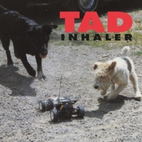 Tad Inhaler -coloured-