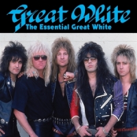 Great White Essential Great White