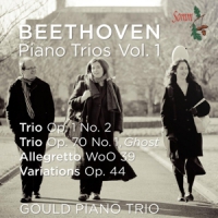 Zinman, David Piano Trios Vol.1