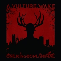 A Vulture Wake One.kingdom.animal