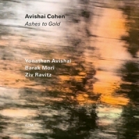 Cohen, Avishai Ashes To Gold