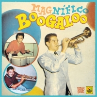 Various Magnifico Boogaloo