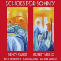 Henry Kaiser Echoes For Sonny