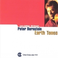 Bernstein, Peter (quartet) Earth Tones