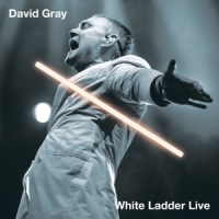 Gray, David White Ladder Live