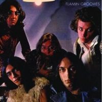 Flamin' Groovies Flamingo