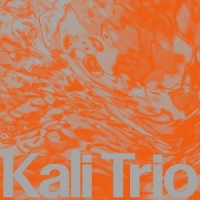 Kali Trio The Playful Abstract