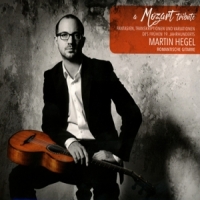 Hegel, Martin A Mozart Tribute