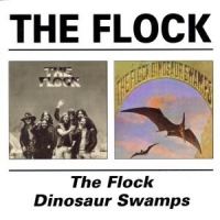 Flock Flock/dinosaur Swamps