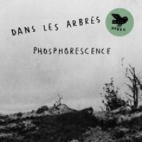 Dans Les Arbres Phosphorescence