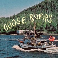 Boyscott Goose Bumps -coloured-