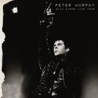 Peter Murphy Wild Birds Live Tour