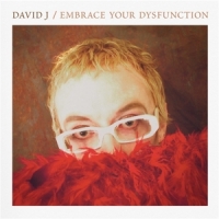 David J Embrace Your Dysfunction -coloured-