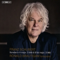 Brautigam, Ronald Schubert: Piano Sonatas D959 & D960