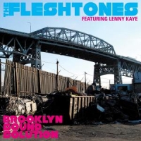 Fleshtones Brooklyn Sound Solution