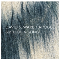 Ware, David S. Apogee/birth Of A Being