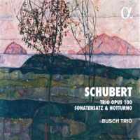 Busch Trio Schubert: Trio Opus 100, Sonatensatz & Notturno