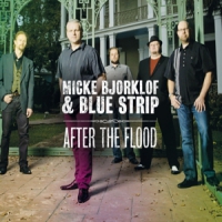 Micke Bjorklof After The Flood