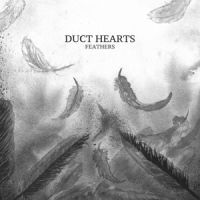 Duct Hearts Feathers