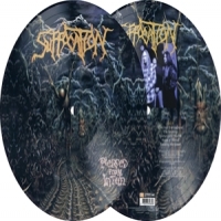 Suffocation Pierced From Within -picture Disc-