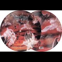 Immolation Dawn Of Possession -ltd-