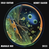 Henry Kaiser Mahalo Nui