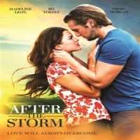 Movie (import) After The Storm