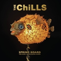 Chills Spring Board  The Early Recordings