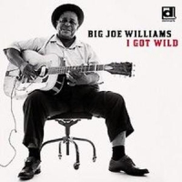 Williams, Big Joe I Got Wild