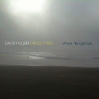 Friesen, David -circle 3 Trio- Where The Lights Fall