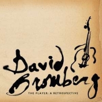 David Bromberg The Player/a Retrospective