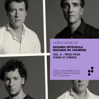 Le Sage, Eric Brahms: Trios Pour Piano Et Cordes Vol.8