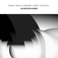 Bang/duch/honore/toop/wastell Wunderkammer (white)