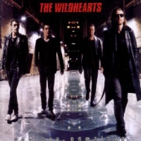 Wildhearts Endless Nameless