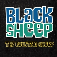 Black Sheep Counting Sheep