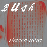 Bush Sixteen Stone -coloured-