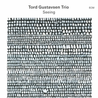 Tord Gustavsen Trio Seeing