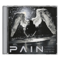 Pain Nothing Remains The Same