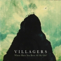 Villagers Where Have You Been All My Life?