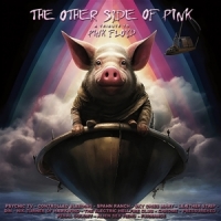 Various (pink Floyd Tribute) Other Side Of Pink (pink)