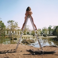 Small Black Limits Of Desire