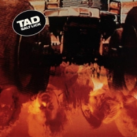 Tad Salt Lick (deluxe)