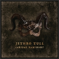 Jethro Tull Curious Ruminant