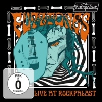 Fuzztones Live At Rockpalast